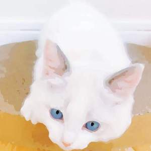 白丝少萝❌❌自慰涶水机
