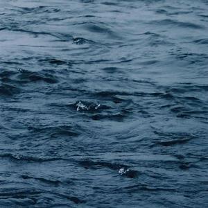 白丝少萝❌❌自慰涶水机
