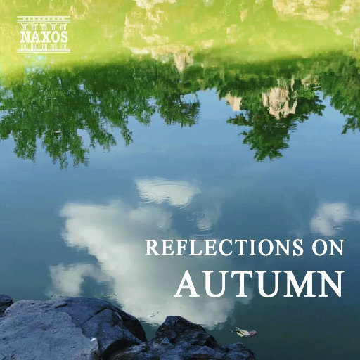 白丝少萝❌❌自慰涶水机
